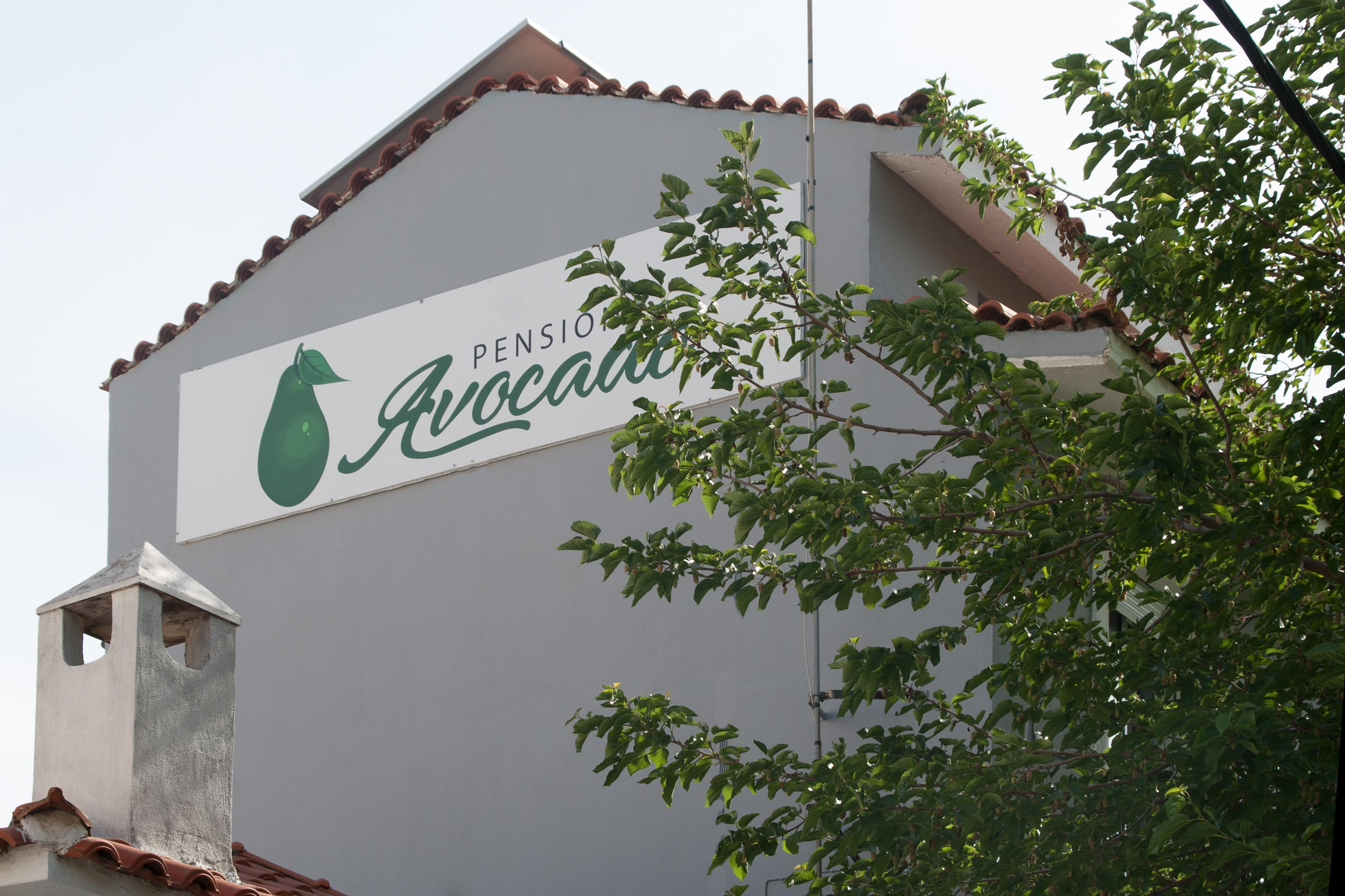Pension Avocado Skiathos Exterior foto